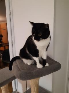 Service : chat Service : chat