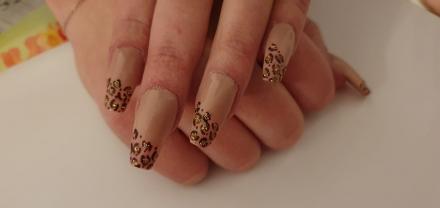 Service : service a personne Service : service a personne