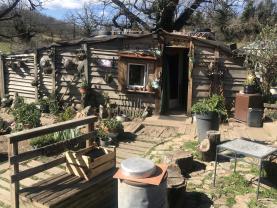 Service : chien Service : chien