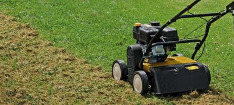 Location : scarificateur Location : scarificateur