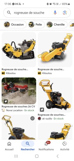 Location : rogneuse de souche