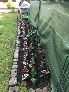 Service : nettoyage Service : nettoyage