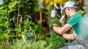 Demander ce jardinier