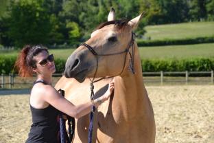 Service garde animaux entre particuliers