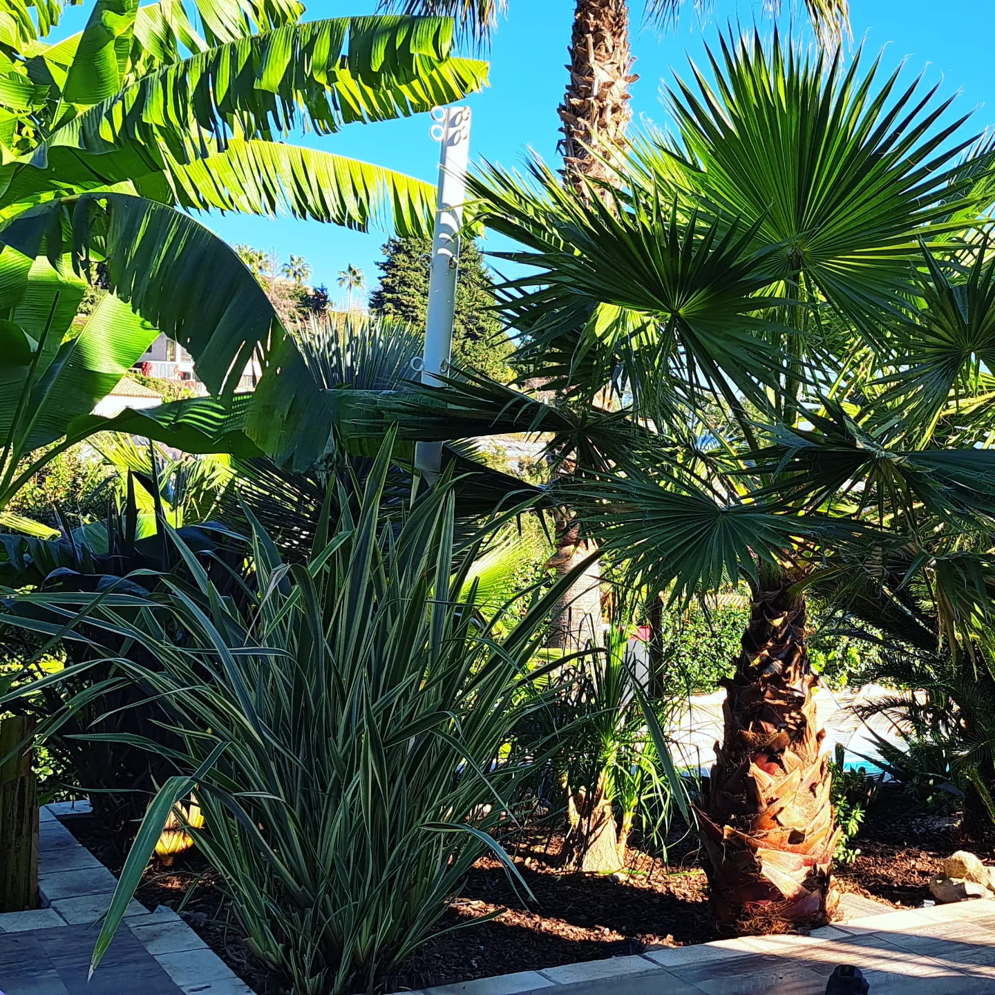 Service entretien jardin 06 entre particuliers