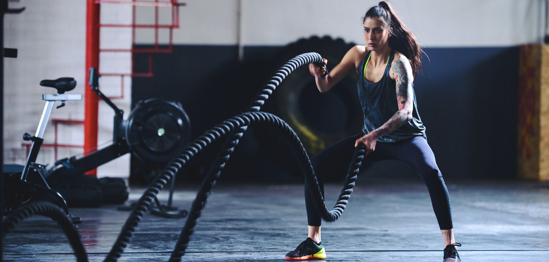 Location musculation 59 entre particuliers