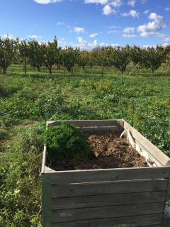 Location : jardin potager Location : jardin potager