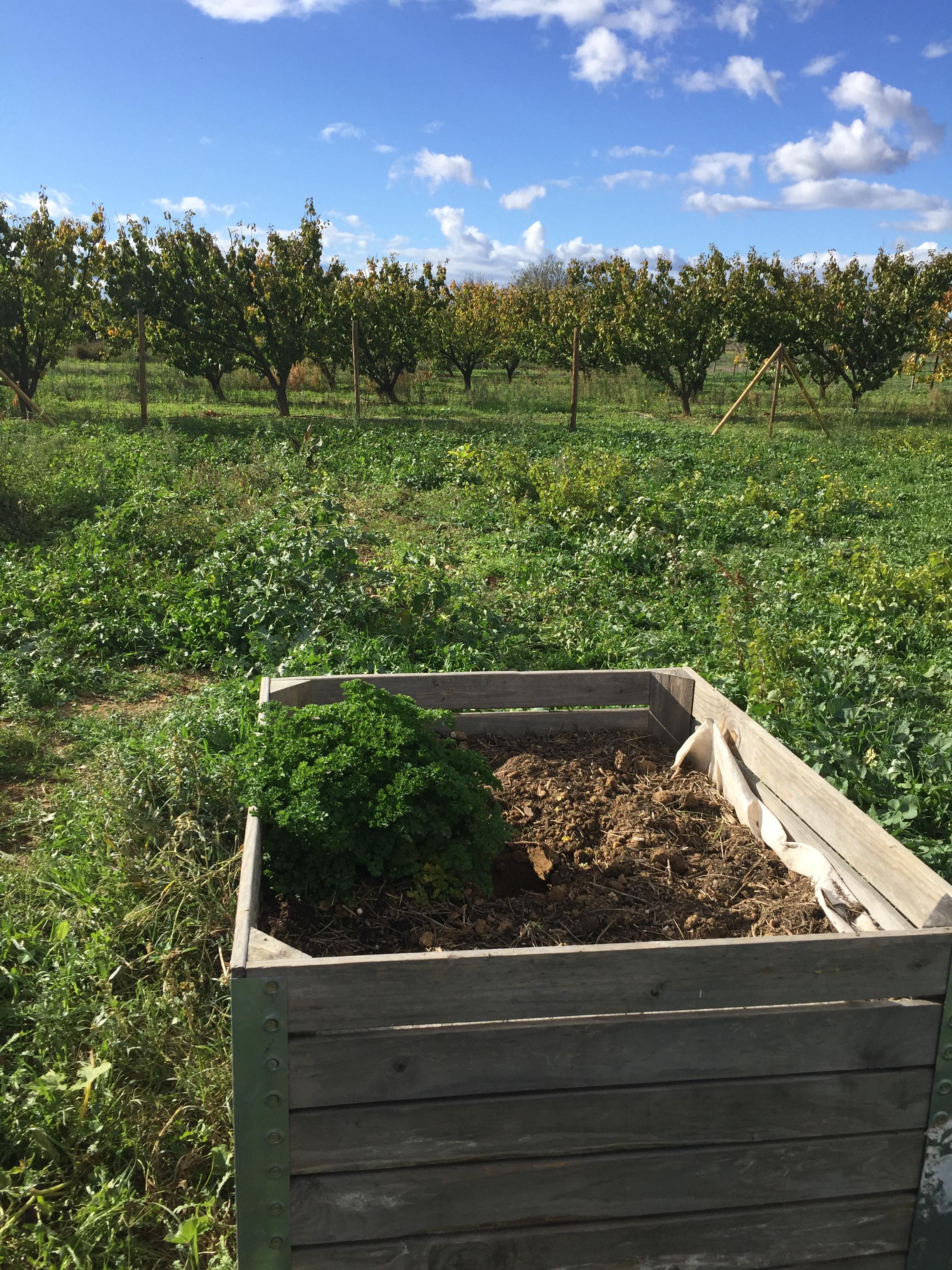 Location jardin potager 30 entre particuliers