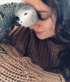 Service : oiseaux Service : oiseaux