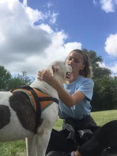 Service : garde animaux Service : garde animaux