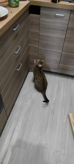 Demander ce monteur