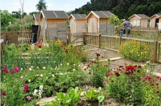 Location jardin potager entre particuliers