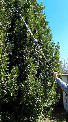 Location : taille haie Location : taille haie