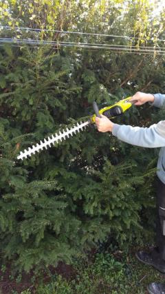 Location : taille haie Location : taille haie