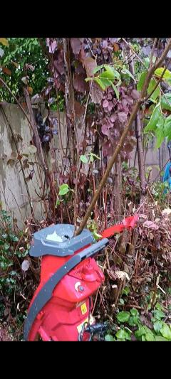 Location : broyeur a vegetaux Location : broyeur a vegetaux