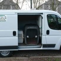 Demander ce petsitter