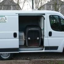 Service chien entre particuliers