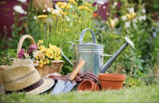 Service : entretien espace vert Service : entretien espace vert