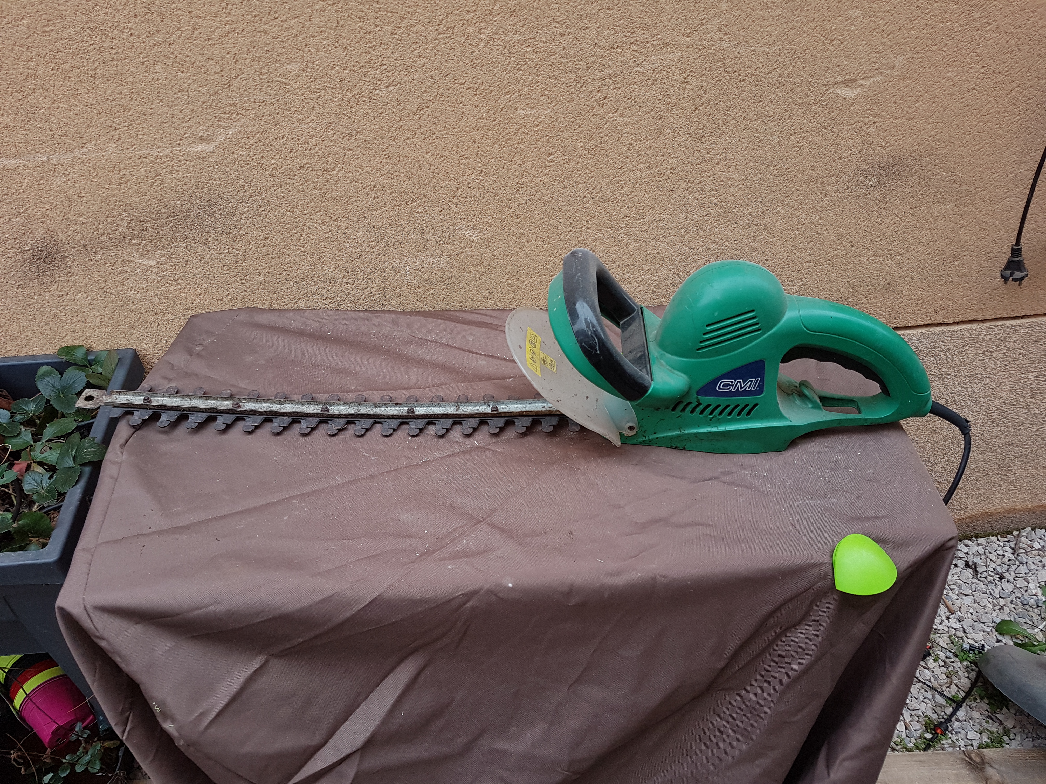 Location taille haie 13 entre particuliers