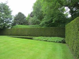 Service : taille de haies Service : taille de haies