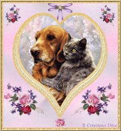 Service : chien Service : chien