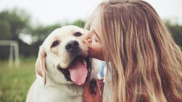 Service : chien Service : chien