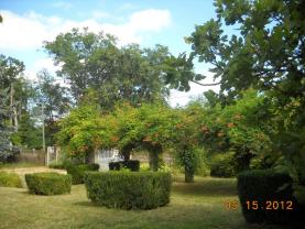 Service : entretien jardin Service : entretien jardin