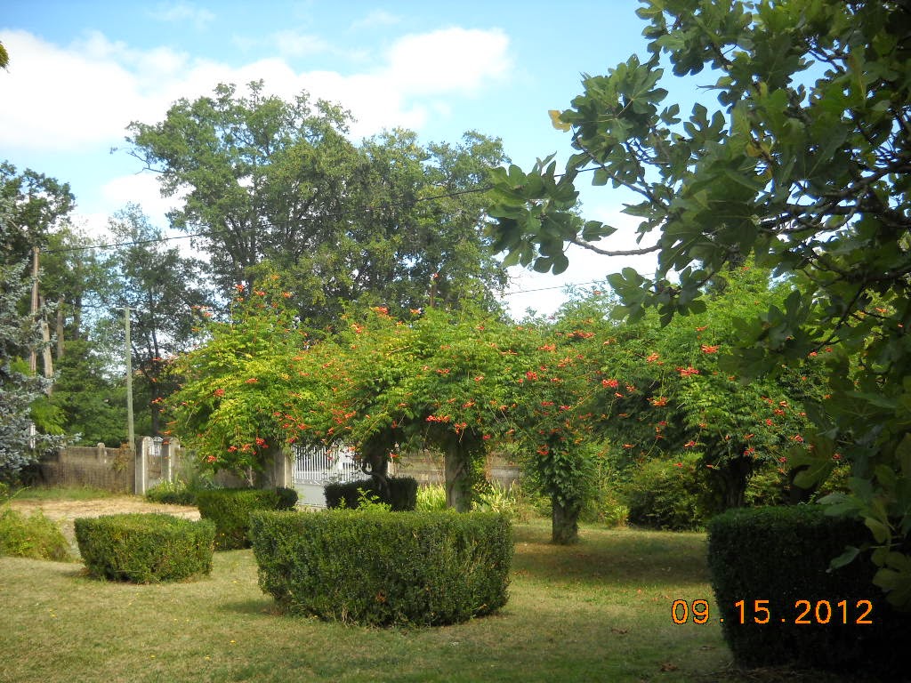 Service entretien jardin 64 entre particuliers