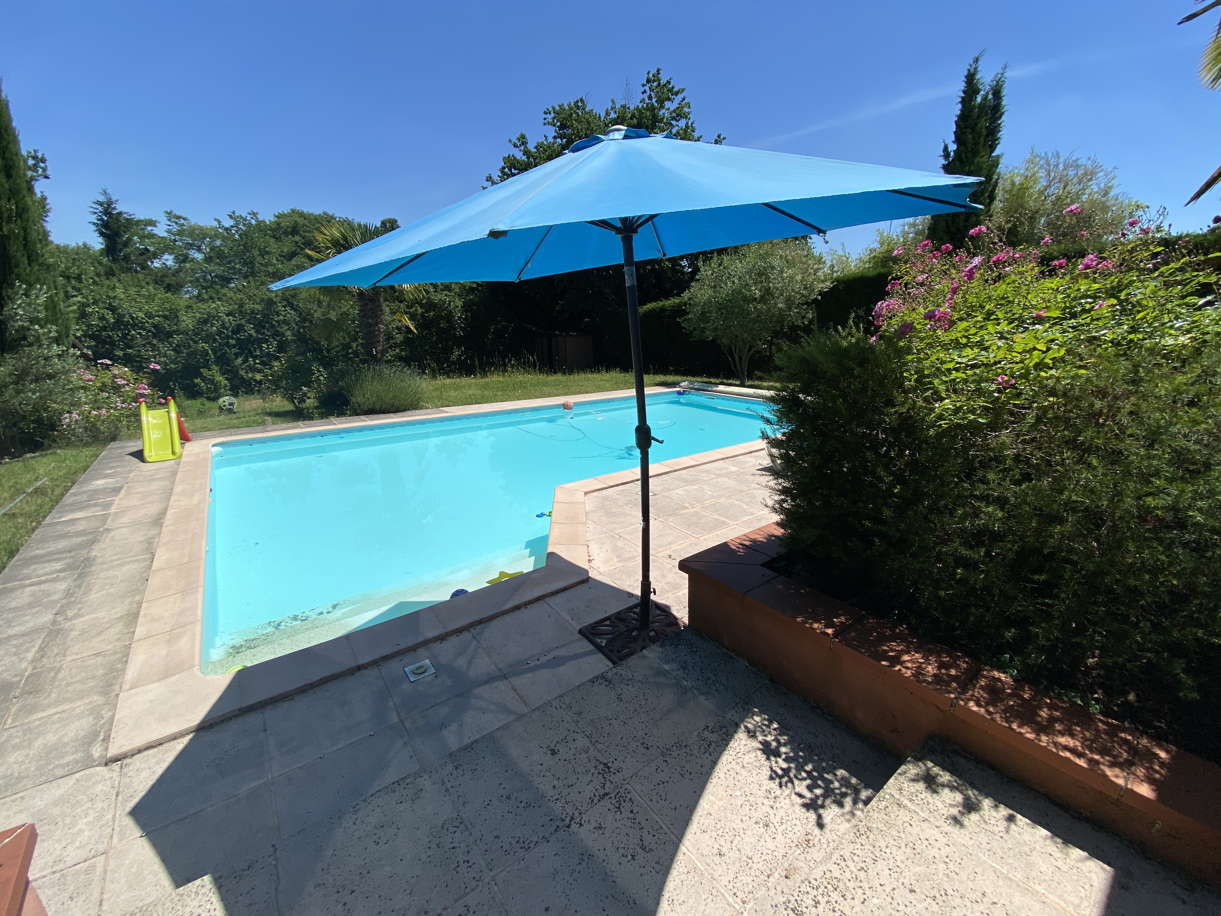 Service chien 31 entre particuliers