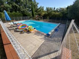 Service : chien Service : chien