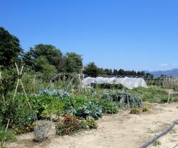 Location jardin potager entre particuliers