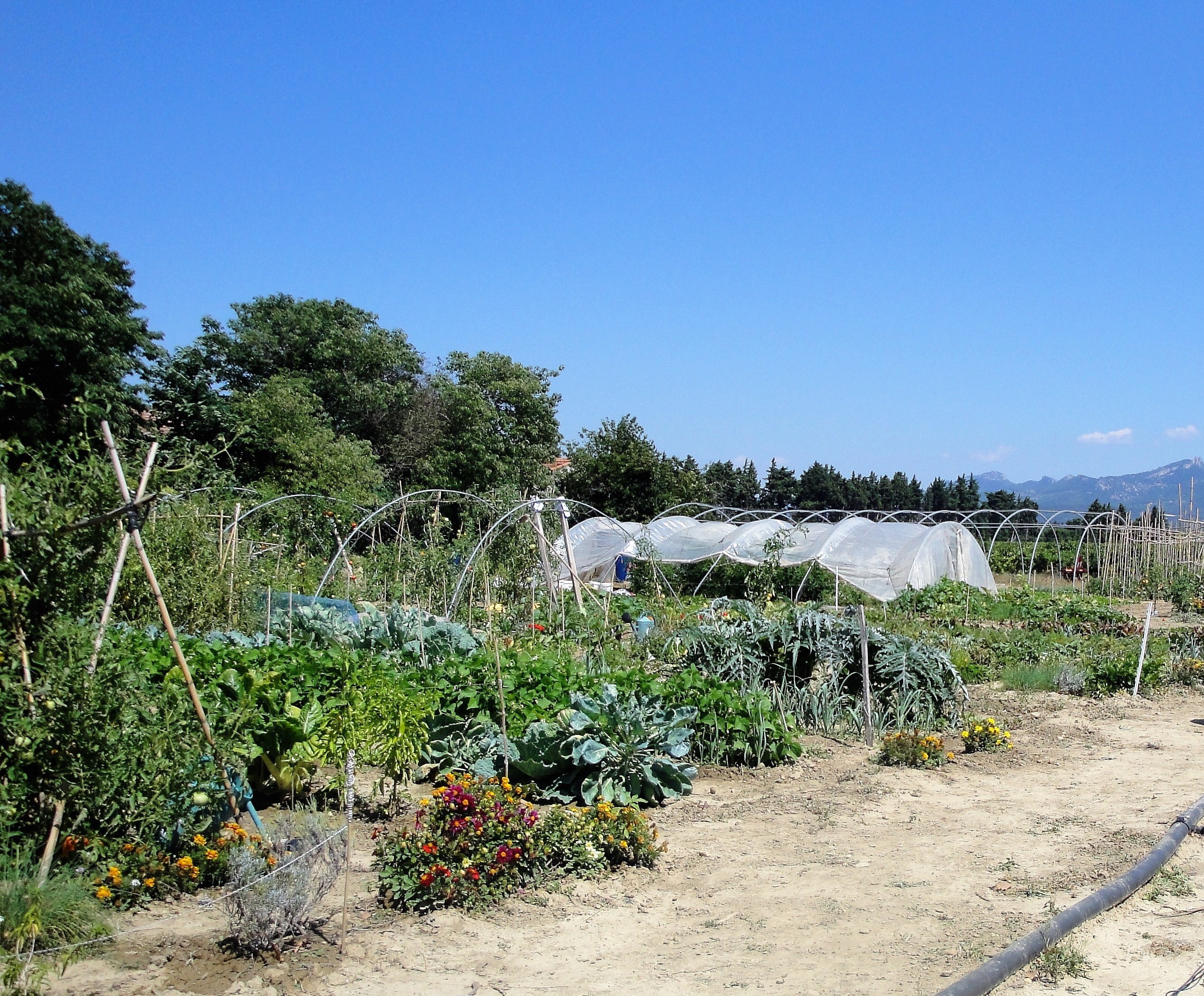 Location jardin potager 84 entre particuliers