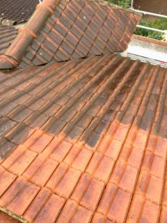 Service : multi services Service : multi services