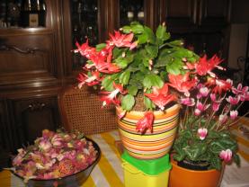 Service : coiffure homme Service : coiffure homme