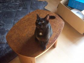 Service : chat Service : chat