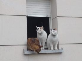 Service : chat Service : chat