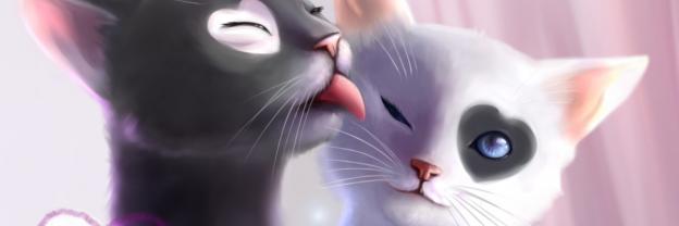 Service : chat Service : chat