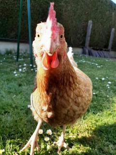 Demander une garde