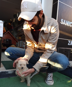 Service : garde animaux Service : garde animaux