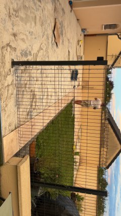 Service : pose de lino