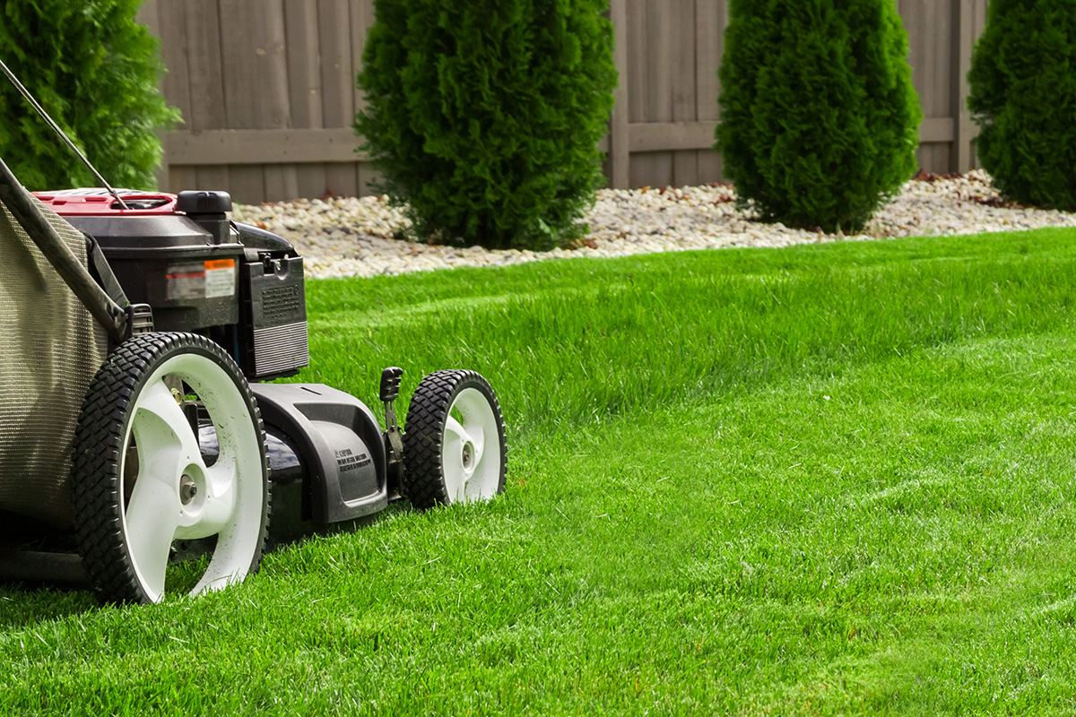 Service tonte de pelouse 31 entre particuliers
