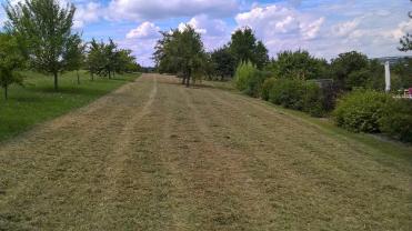 Service : debroussaillage Service : debroussaillage