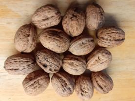 Service : plat seul Service : plat seul