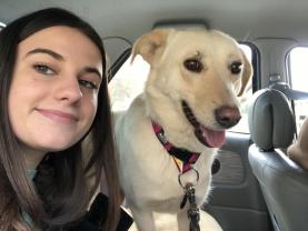 Service : garde animaux Service : garde animaux