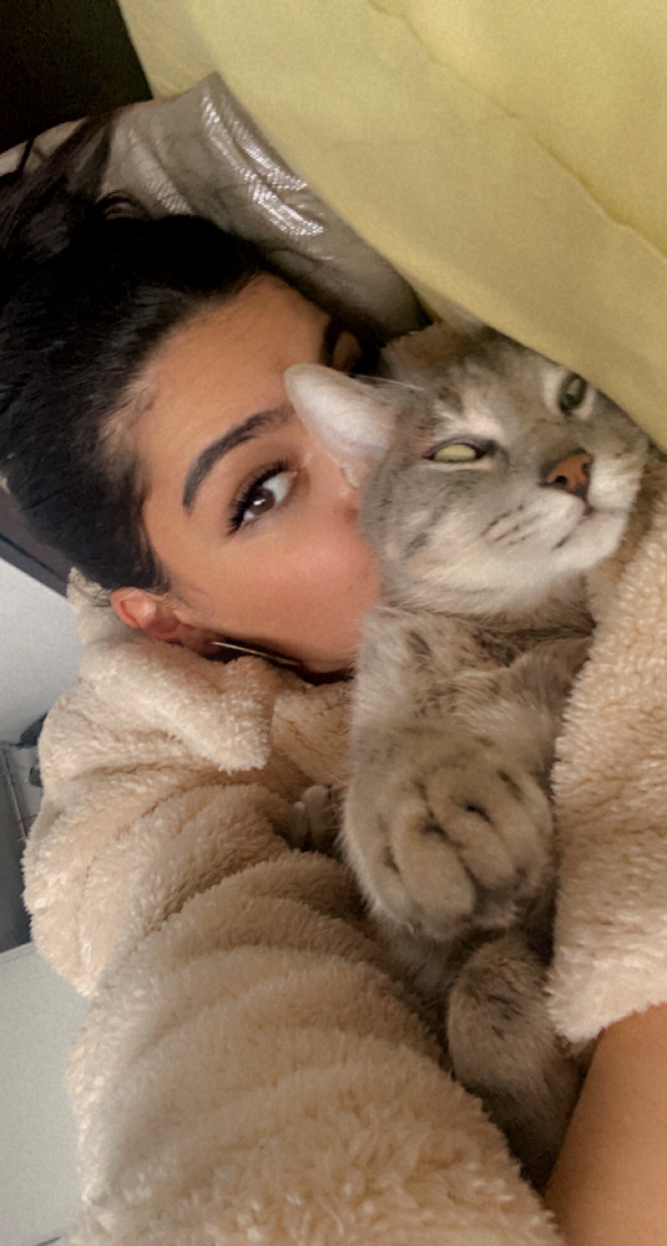 Service chat 31 entre particuliers