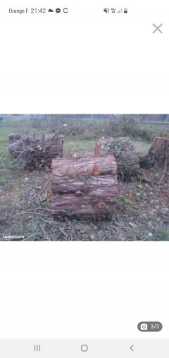 Location : tronconneuse Location : tronconneuse