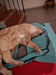 Service : chat Service : chat