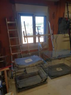 Location : leve plaques Location : leve plaques