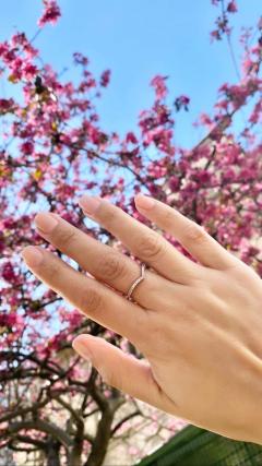 Service : pose de vernis Service : pose de vernis