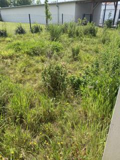 Service : tonte de pelouse Service : tonte de pelouse